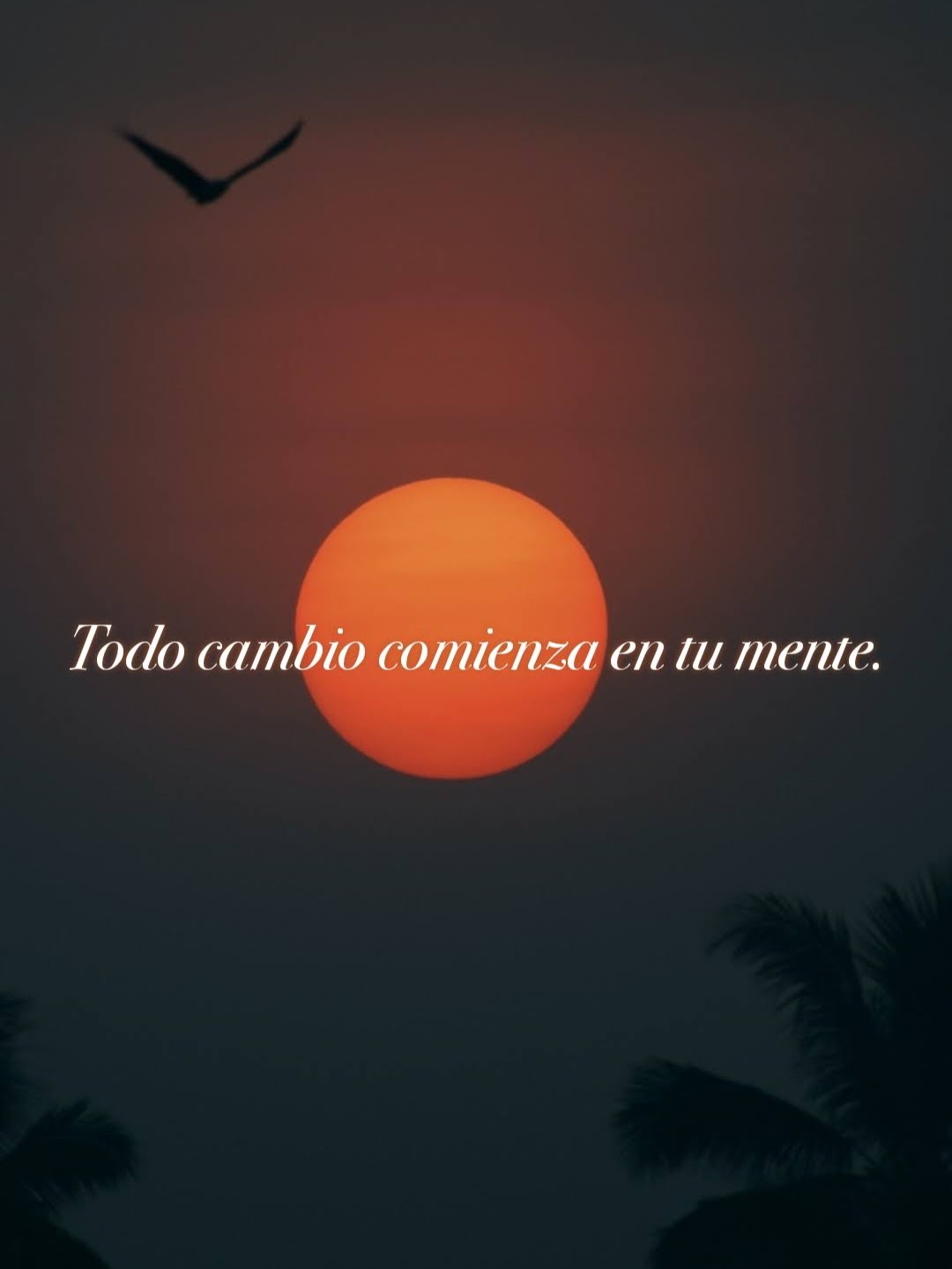 Solo un billete de ida…a la actitud